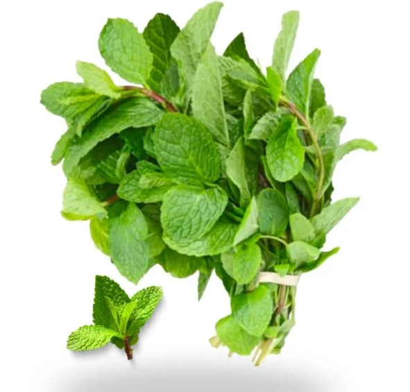 Mint leaves / పుదీనా
